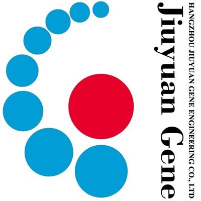 2025 أفضل 10 مصانع API في الصين